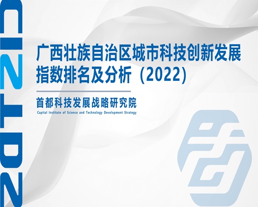 啊啊啊啊啊被几个男人干的受不了【成果发布】广西壮族自治区城市科技创新发展指数排名及分析（2022）